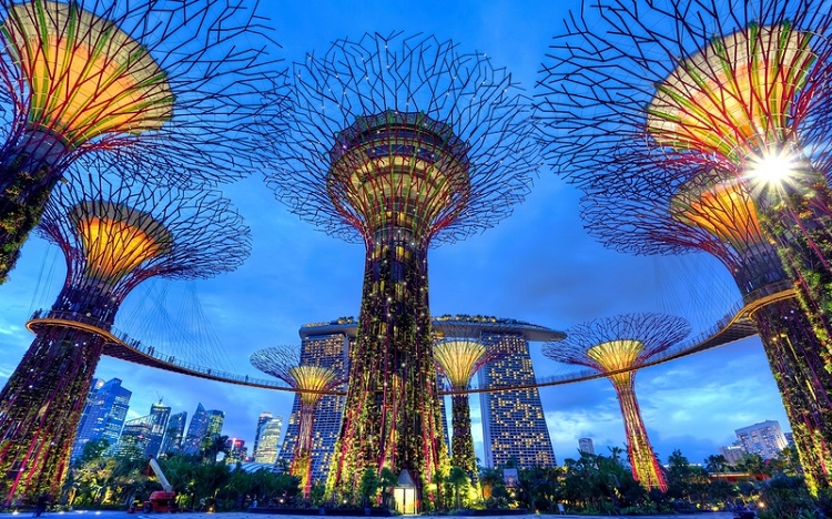 supertrees of singapore